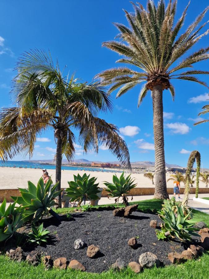 Apartament Caleta 科斯塔卡莱塔 外观 照片